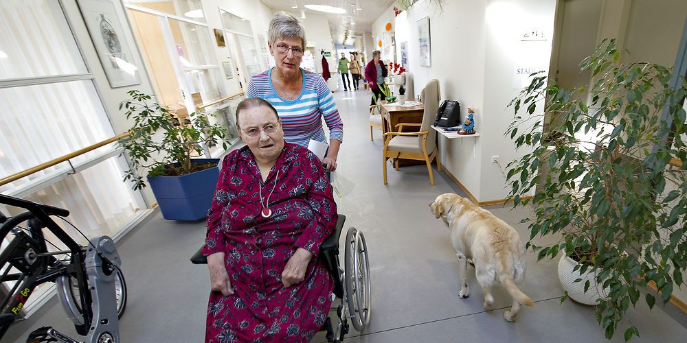 En aktindsigt viser, at embedsmændene i Digitaliseringsstyrelsen stillede kritiske spørgsmål til flere af de potentialer, som to konsulenthuse angav i kulegravningsrapport. (