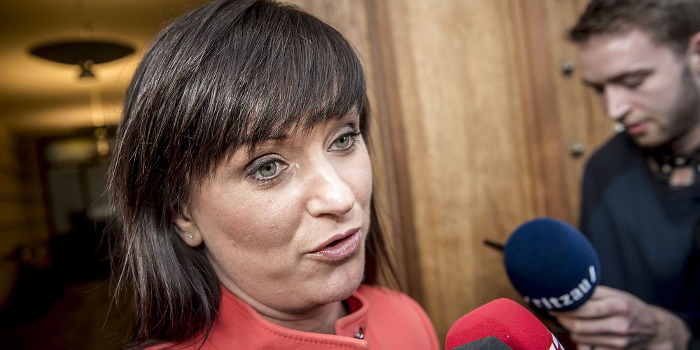 Innovationsminister Sophie Løhde efterlyste på et samråd i går en melding fra S og SF om, hvilke forslag til afbureaukratiseringer de to partier vil støtte. (