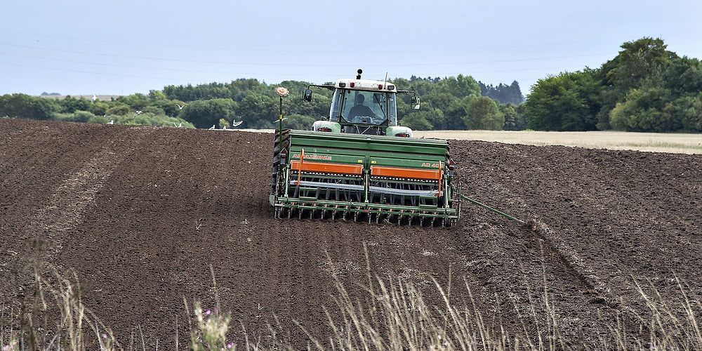 Reglerne for diger og fortidsminder trænger muligvis til en revision.