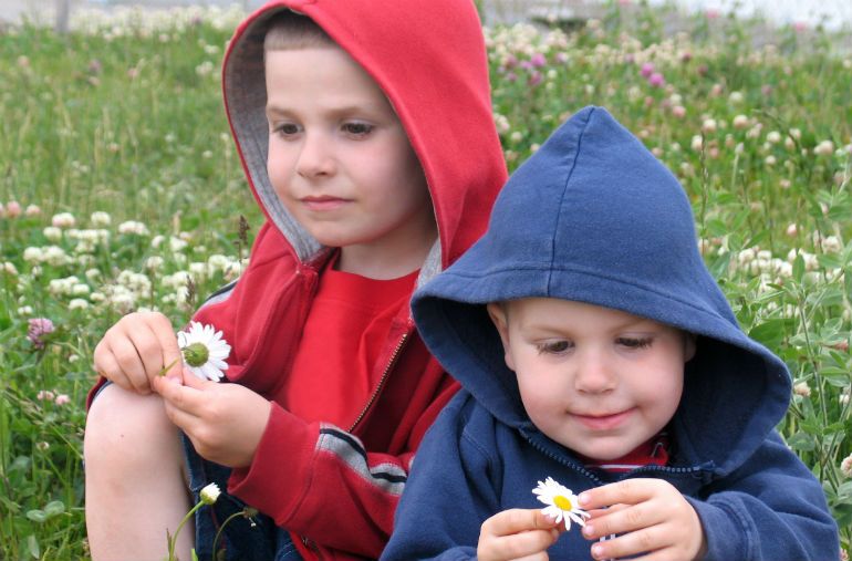 Elsker – elsker ikke? Alle kender den gamle leg med blomsten, hvor man fjerner et blad ad gangen. 