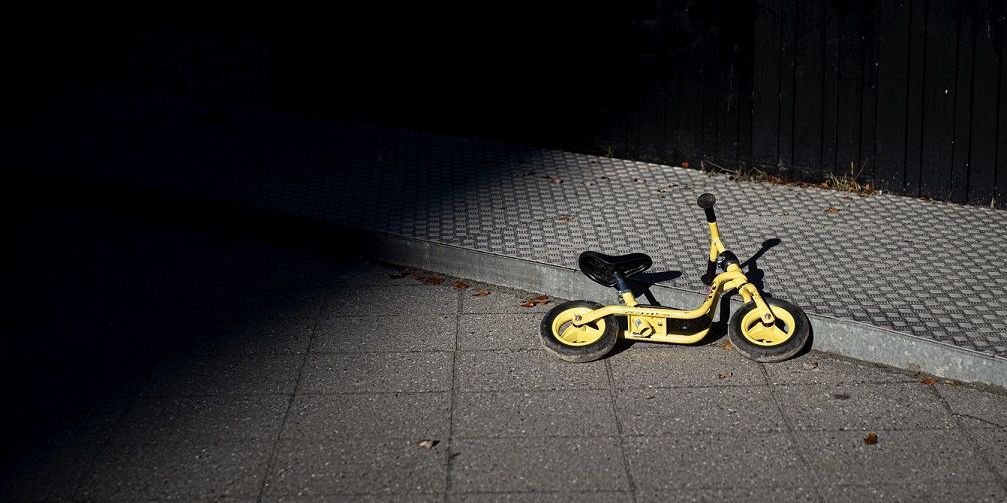 Ankestyrelsen har undersøgt 228 sager i 12 kommuner.