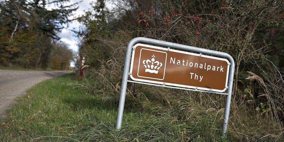 Torben Hedegaard er hobbyfotograf, og fotograferer ivrigt i Nationalpark Thy. Men det har fået Thisted Kommune til at standse udbetalingen af sygedagpenge. (Arkivfoto)