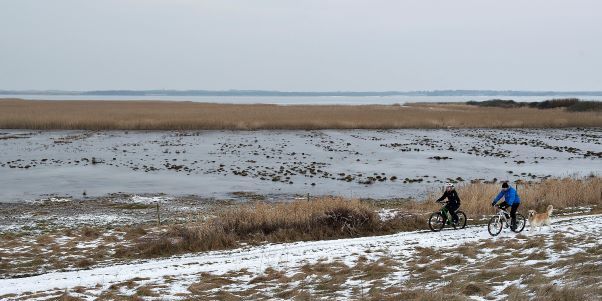 (Arkivfoto)