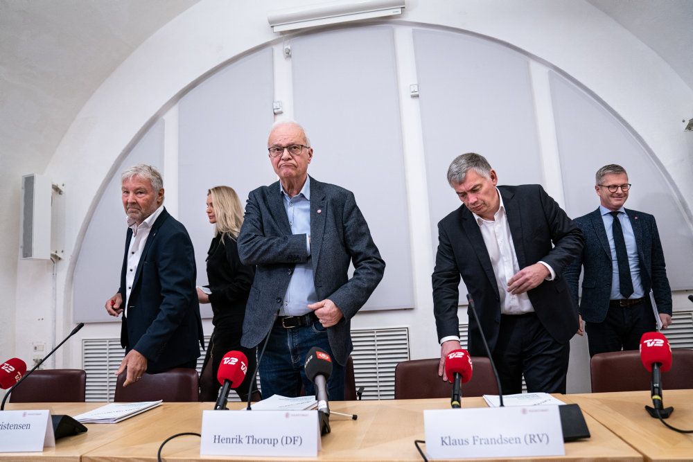 Statsrevisorerne, med formand Henrik Thorup (DF) i spidsen, bad i december Rigsrevisionen om en undersøgelse af statens kontroller. Det skete efter en stribe svindelsager.