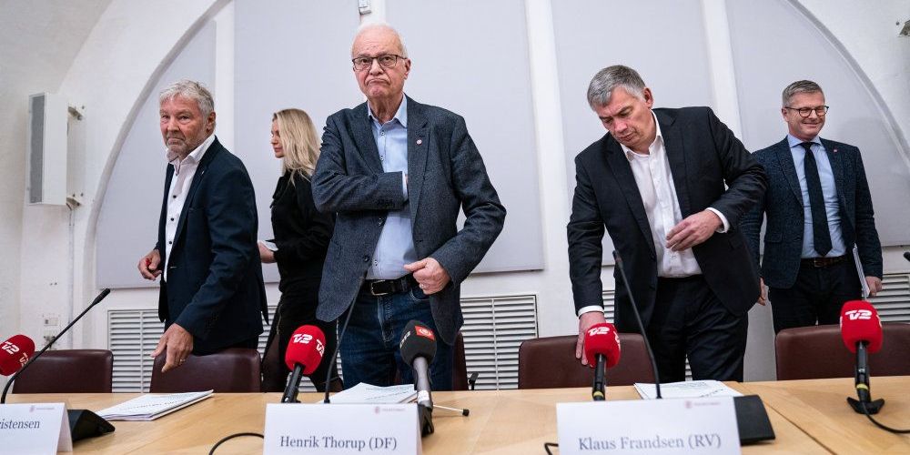 Statsrevisorerne, med formand Henrik Thorup (DF) i spidsen, bad i december Rigsrevisionen om en undersøgelse af statens kontroller. Det skete efter en stribe svindelsager.