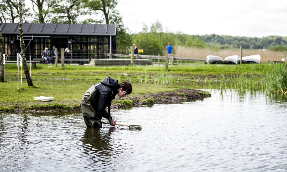 Lad de ældste elever i folkeskolen komme ud i naturen med en lærer et par gange om ugen, så de i det mindste kan få undervisninger der, lyder opfordringen fra borgmester.