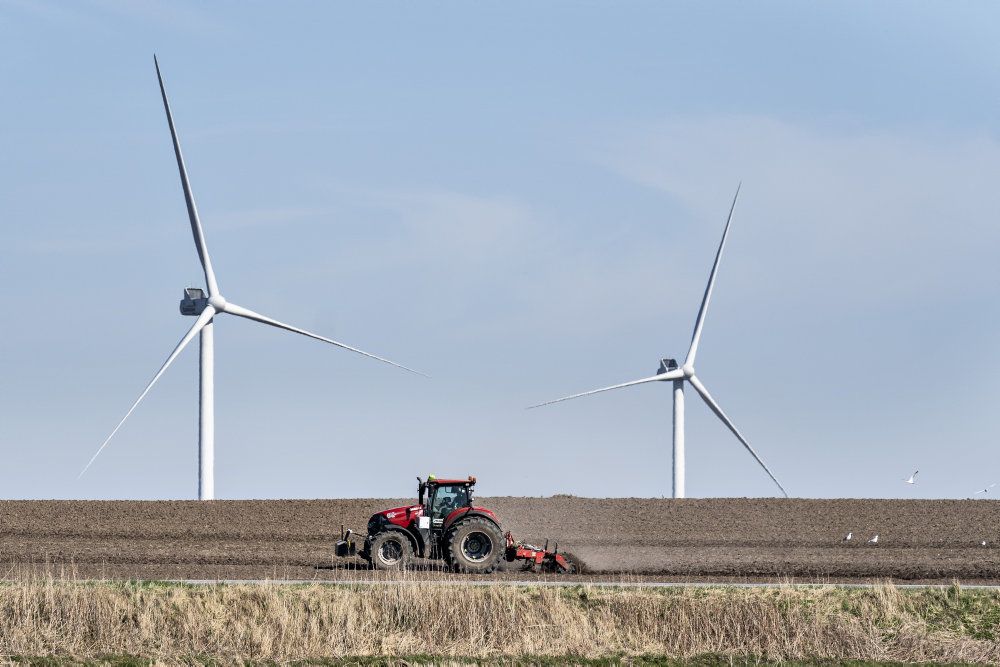Specielt vindteknologi har trukket eksporten af vedvarende energi i 2019.