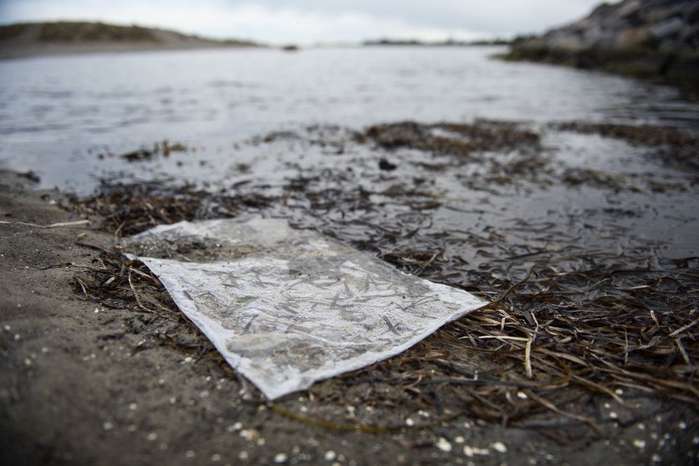 Forsyningsselskabet Hofor skulle i den kommende uge have udledt 290.000 kubikmeter spildevand i Øresund, men udledningen bliver nu udskudt til efteråret. (Arkivfoto)