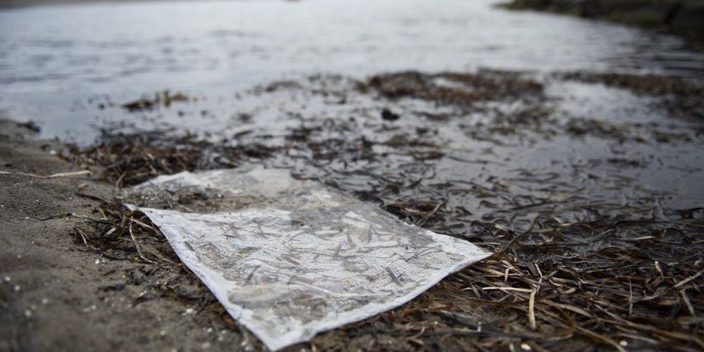 Forsyningsselskabet Hofor skulle i den kommende uge have udledt 290.000 kubikmeter spildevand i Øresund, men udledningen bliver nu udskudt til efteråret. (Arkivfoto)