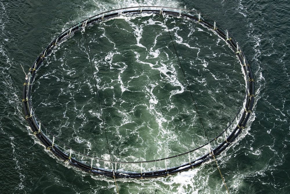 Miljøminister Lea Wermelin (S) vil samle miljøtilsynet med landets 19 havbrug hos Miljøstyrelsen. Som det er nu, er tilsynet spredt ud over flere myndigheder, blandt andre kommunerne. (Arkivfoto).