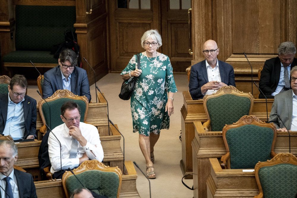- At påstå, at der er racisme i Danmark, falder mig anstødeligt. Er der nogen, der overskrider en grænse? Ja. Men racisme? Nej, siger Pia Kjærsgaard.