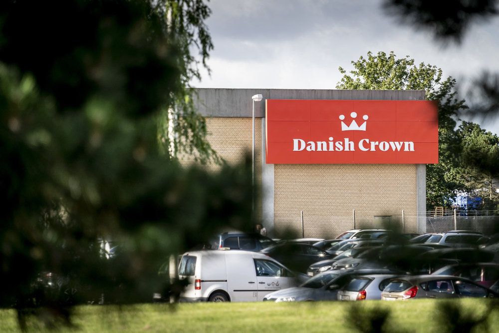 I alt 79 medarbejdere er nu blevet konstateret smittet med corona på Danish Crowns slagteri i Ringsted. (Arkivfoto)