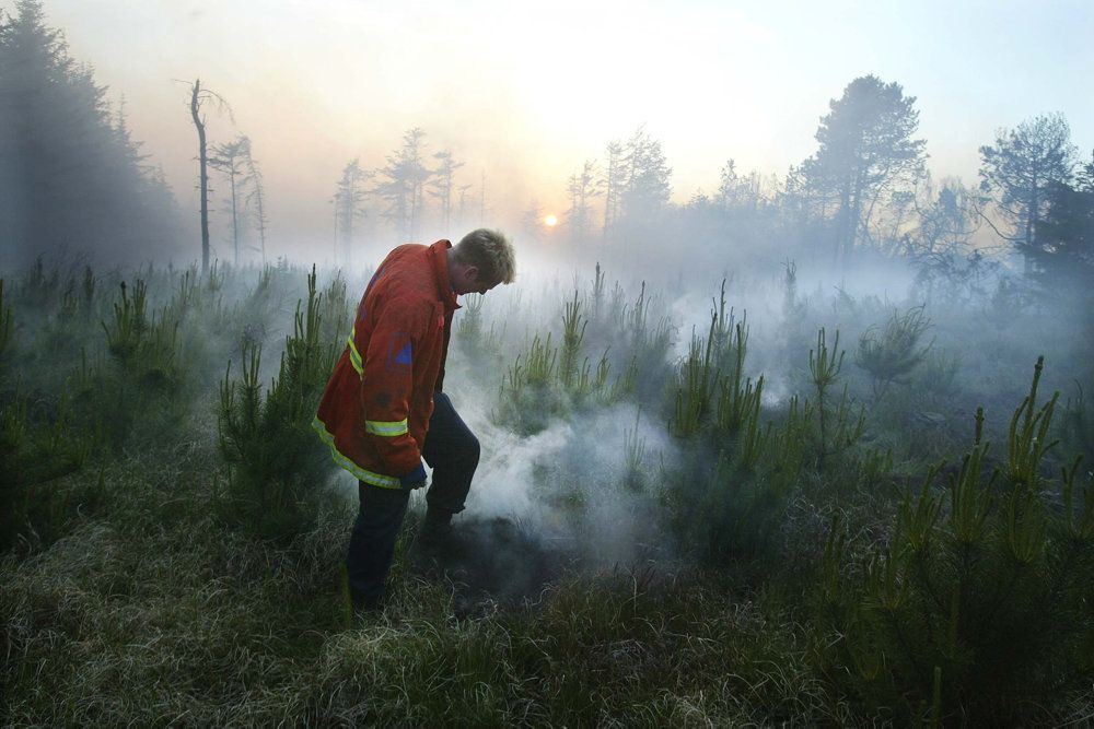 Middeltemperaturen har i august været 18,6 grader. Indtil videre gør det august til den varmeste måned. Med temperaturene stiger tørke og brandfareindekset, og det gør naturen ekstra sårbar overfor brande. (Arkiv)
