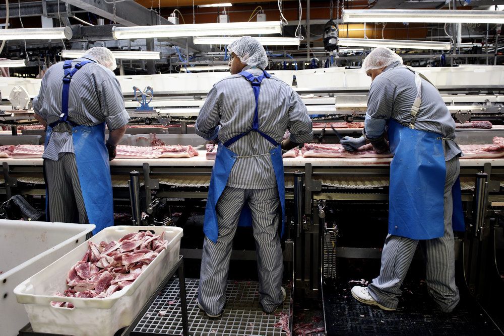 Omkring 65 procent af medlemmerne i Fødevareforbundet ventes at have ret til at gå tidligere på pension. (Arkivfoto)
