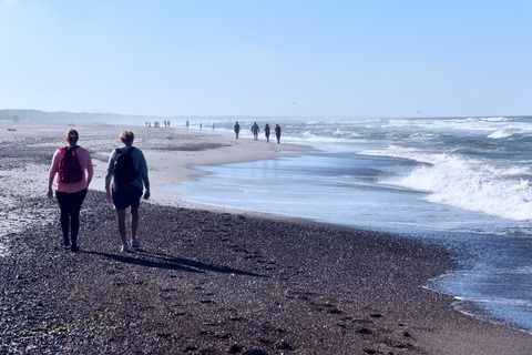 Danskerne har været turister i eget land og nydt godt af de mange muligheder for at motionere i naturen. Billedet er fra Naturpark Vesterhavet, der strækker sig over 22.500 hektar med strand, klitlandskab, hede, klitplantager og anden natur.