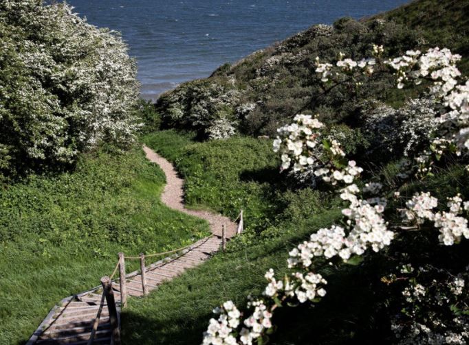 Indsatsen for at holde de smukke landdistrikter levende som samfund falder ofte ned mellem flere stole. Det viser en ny undersøgelse.