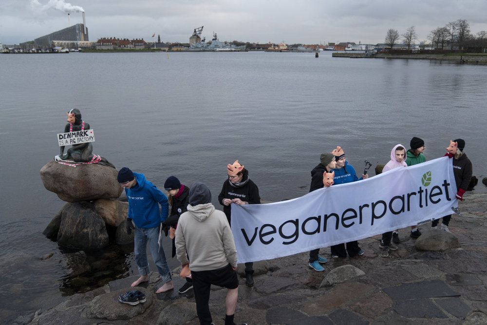 Vælgerne kan stemme på Veganerpartiet ved næste folketingsvalg. (Arkivfoto).