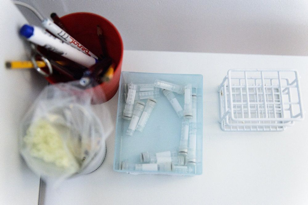 I Danmark må kvinder få fertilitetsbehandling indtil de fylder 46 år. Det bør også være grænsen for, hvornår nedfrosne æg til fertilitetsbehandling skal destrueres, anbefaler Det Etiske Råd tirsdag aften. (Arkivfoto).