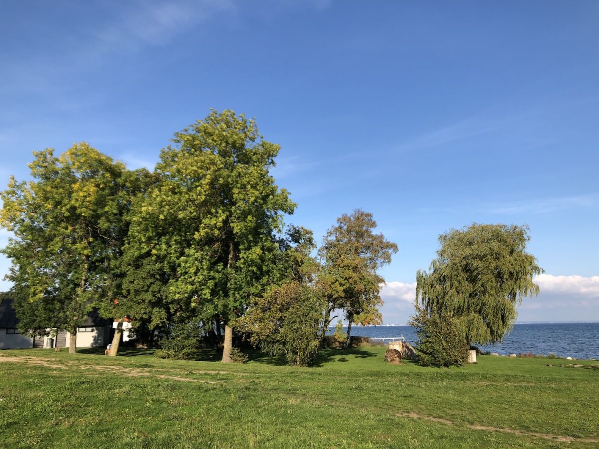 Det er lige her fra stranden, hvor ca. 1000 danske jøder blev sejlet i sikkerhed i Sverige, at Fredensborg Kommune gerne vil have mindesmærket 'Oktober '43' af Per Arnoldi placeret.