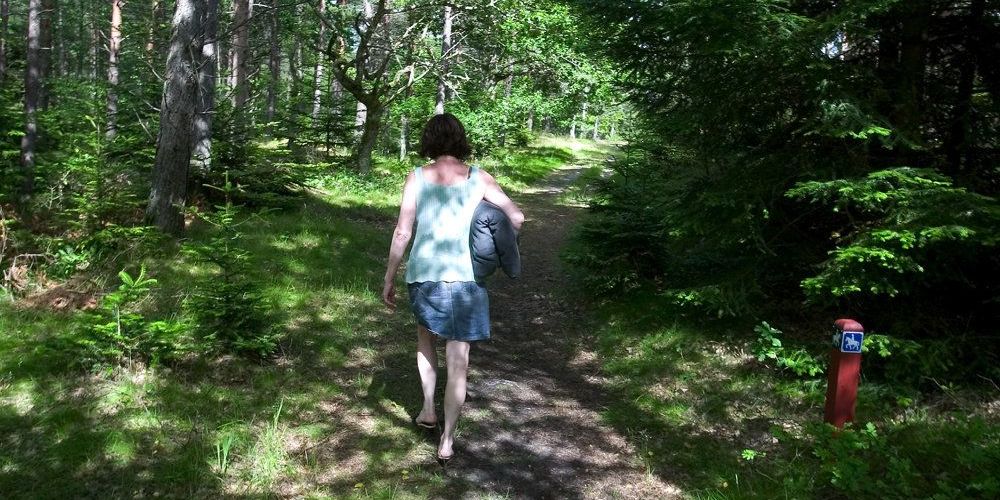 Indsatsen "Sommer i naturen" indgår i en samlet naturaftale for samlet 105 mio. kroner med planlægning af Danmarks to første naturnationalparker, Gribskov og Fussingø. (Arkiv)