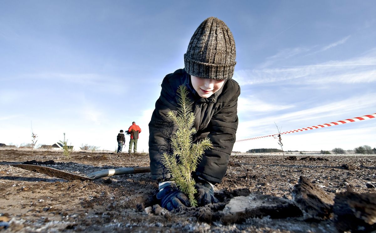 Fra i dag kan du klimakompensere for din fly- og bilrejse ved at plante træer i en ny klimsskov på Samsø.