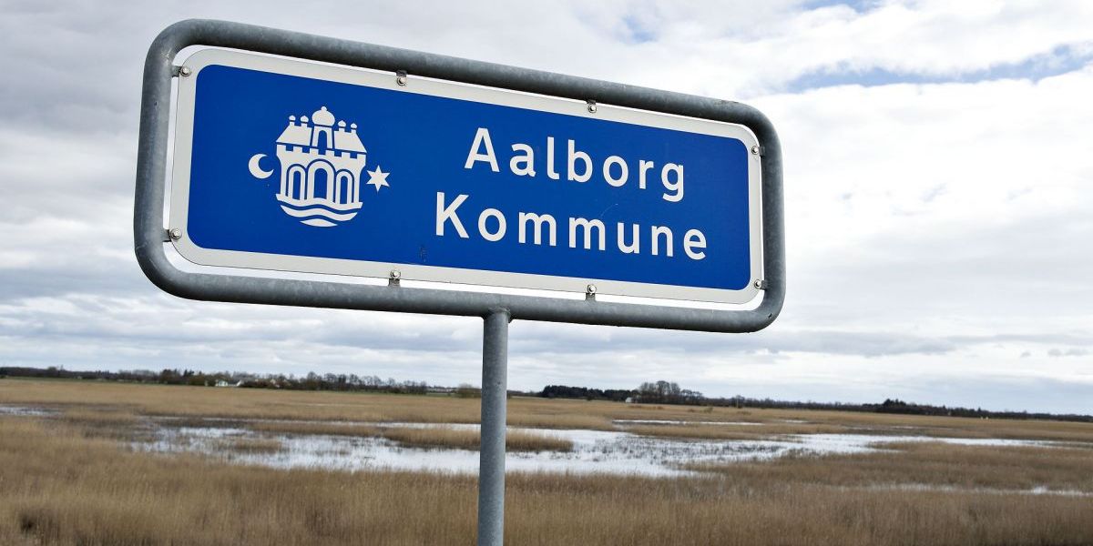 Aalborg Kommune er en af de kommuner, der køber færre konsulenttimer hos eksterne leverandører. (Arkiv)