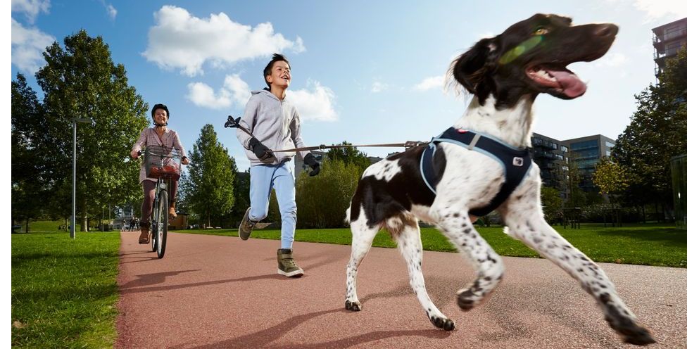 Uanset om vi går tur med hunden, cykler til arbejde eller dyrker sport, styrker bevægelse sundheden og trivslen. Men vi ved ikke ret meget om, hvorfor nogle bevæger sig meget mere end andre. Den viden får kommunerne nu. (Arkiv)