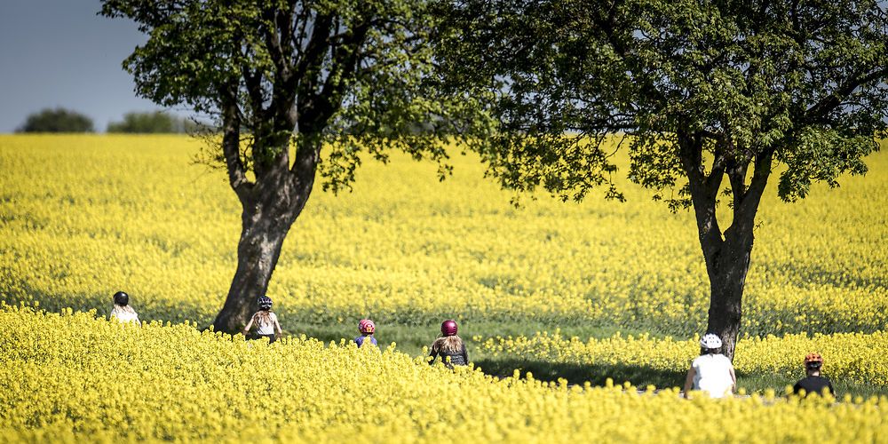 Her i rapsmarkerne udenfor Holbæk er der masser af plads, hvor børnefamilierne kan boltre sig. Ifølge borgmestrene i både Holbæk og Stevns Kommuner er der flere, der skifter tilværelsen i en 2-værelses lejlighed på stenbroen ud med mere luft og natur.