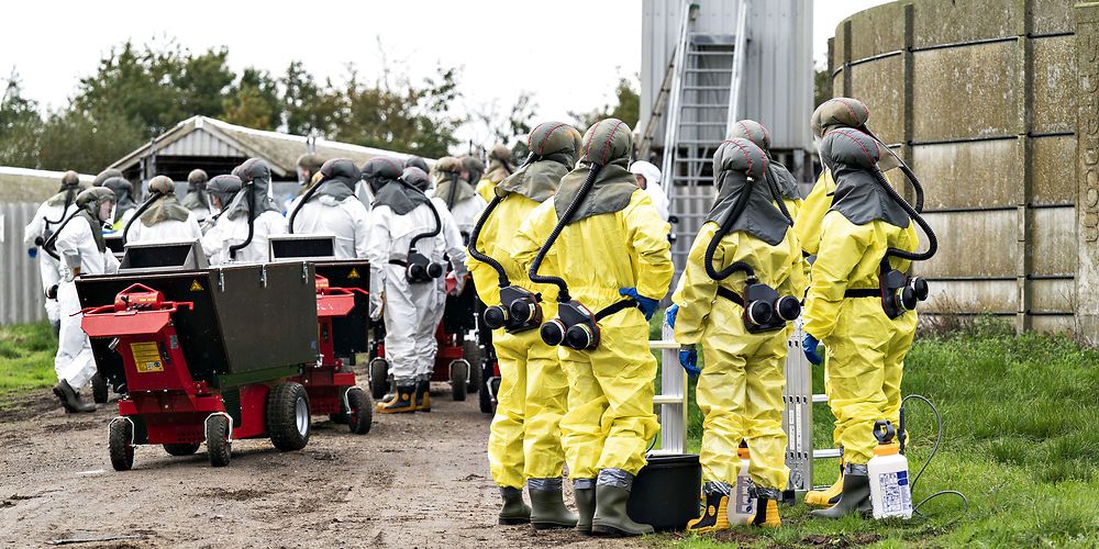 Aflivningen af coronasmittede mink påbegyndte allerede for en måned siden, som det her ses i Gjøl i Jammerbugt Kommune. Nu skal alle mink aflives. Borgmesteren i Jammerbugt Kommune kalder det skrækkeligt, og siger, at "voksne mænd græder" over, at deres livsværk skal lukke.