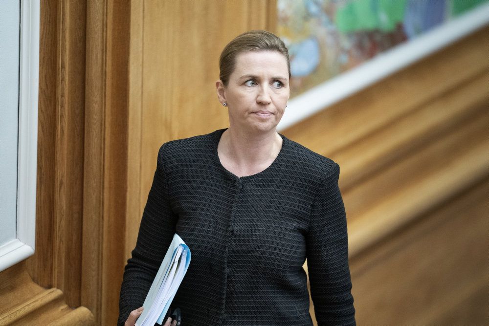 Mette Frederiksen (S) talte 7. november med minkavlernes formand, hvor hun gjorde det klart, at aflivningen af alle mink var nødvendig.