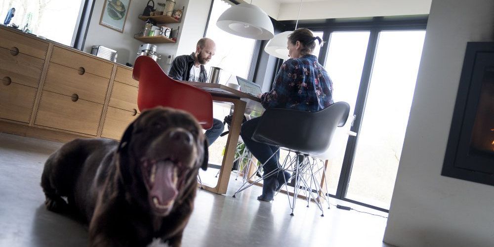 Under coronakrisen har flere arbejdet hjemme. (Arkiv)