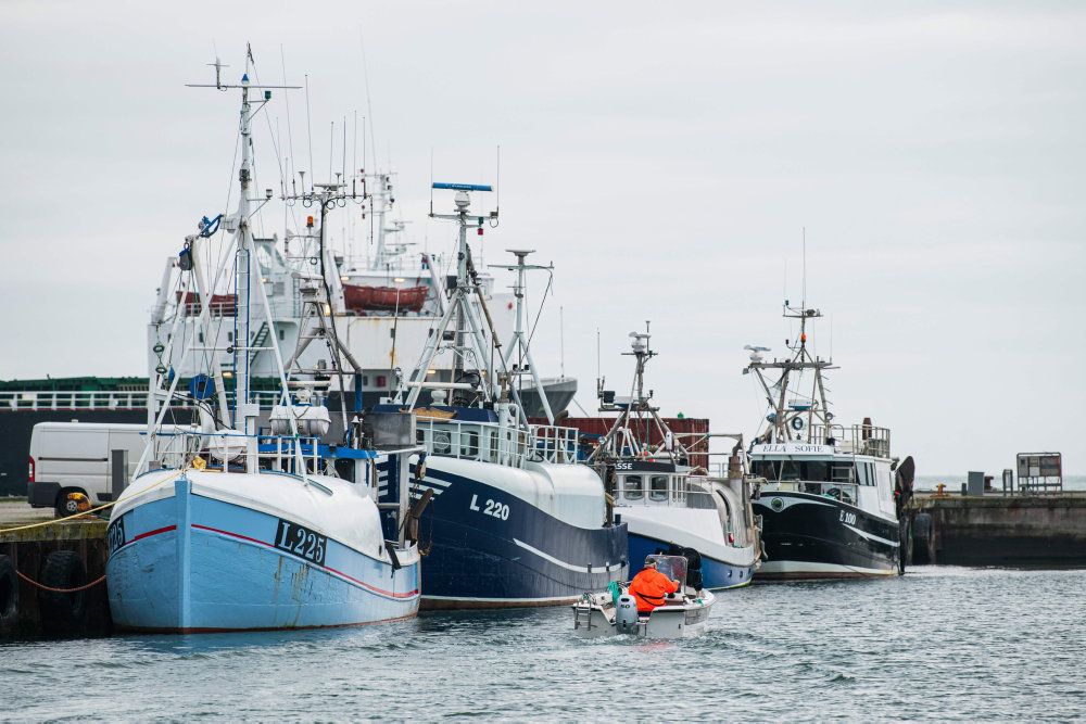 Danmarks Fiskeriforening og Danmarks Naturfredningsforening (DN) er gået sammen om et forslag til regeringen om at gøre ti procent af havarealerne i Nordsøen, Østersøen og Skagerrak til totalt fredet område. (Arkivfoto)