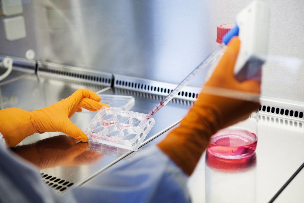 Det danske bud på en coronavaccine kunne allerede i sommer fremvise lovende resultater. Derfor anbefalede Lægemiddelstyrelsen, at Danmark skulle støtte vaccinen for at sikre hurtigere udviklingsproces. (Arkivfoto).