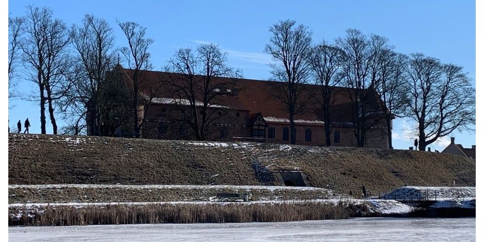 Med naturprojektet på Nyborg Slot bliver kommunen landets første officielle kommunale Sommerfuglepartner. (Arkiv)