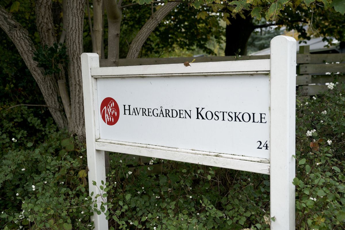 Seks byrådskolleger vil have den tidligere forstander for skandaleramte Havregården Kostskole til at forlade særligt udvalg, som håndterer tvangsfjernelser.