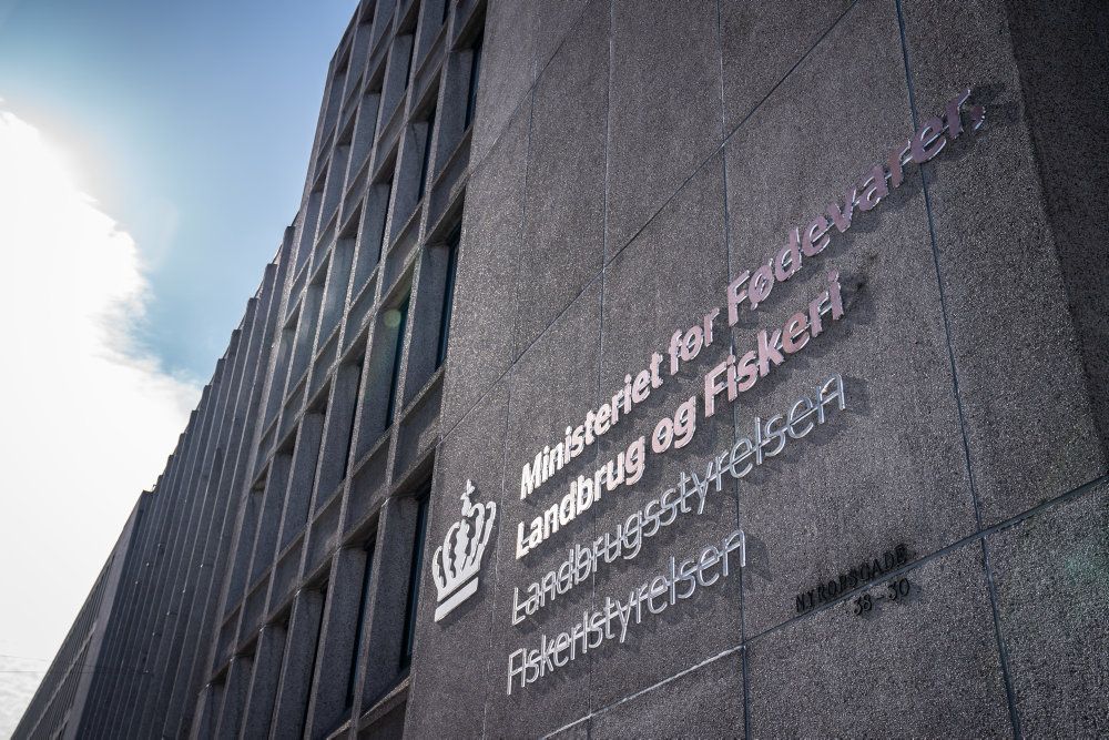 Der er skarp kritik fra Statsrevisorerne til Landbrugsstyrelsen og Ministeriet for Fødevarer, Landbrug og Fiskeri for utilstrækkelig kontrol med udbetaling af støtte til landmænd. (Arkivfoto).