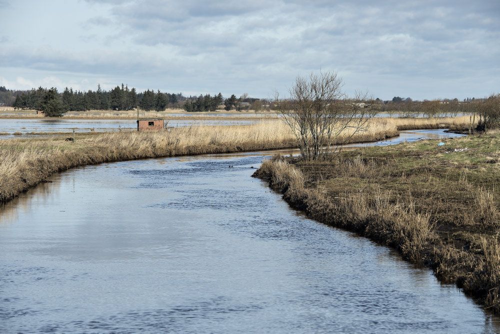 I mere end halvdelen af de vandboringer, der er foretaget i 2021, er der fundet pesticidrester. (Arkivfoto)