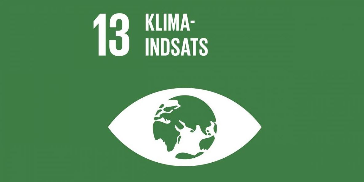 Klimaet ligger højt i bevidstheden hos vælgerne op til KV21, og de vil gerne involveres i kommunernes klimaindsats, viser ny undersøgelse.
