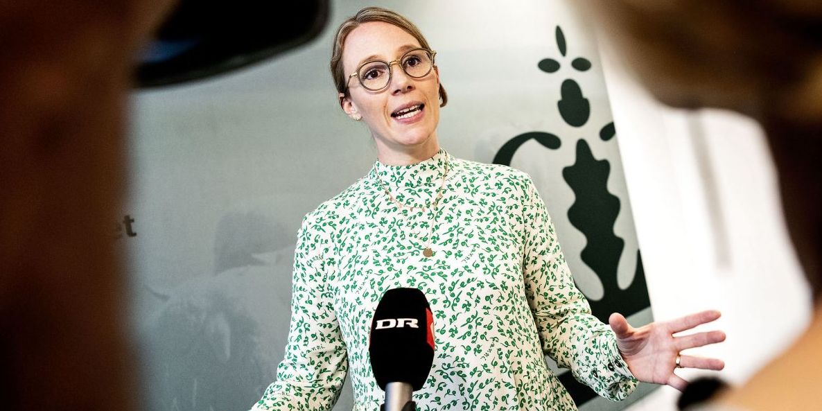 Miljøminister Lea Wermelin (S) og de fleste andre politikere på Christiansborg mister fra tid til anden jordforbindelsen, kan man konstatere i kommunerne.