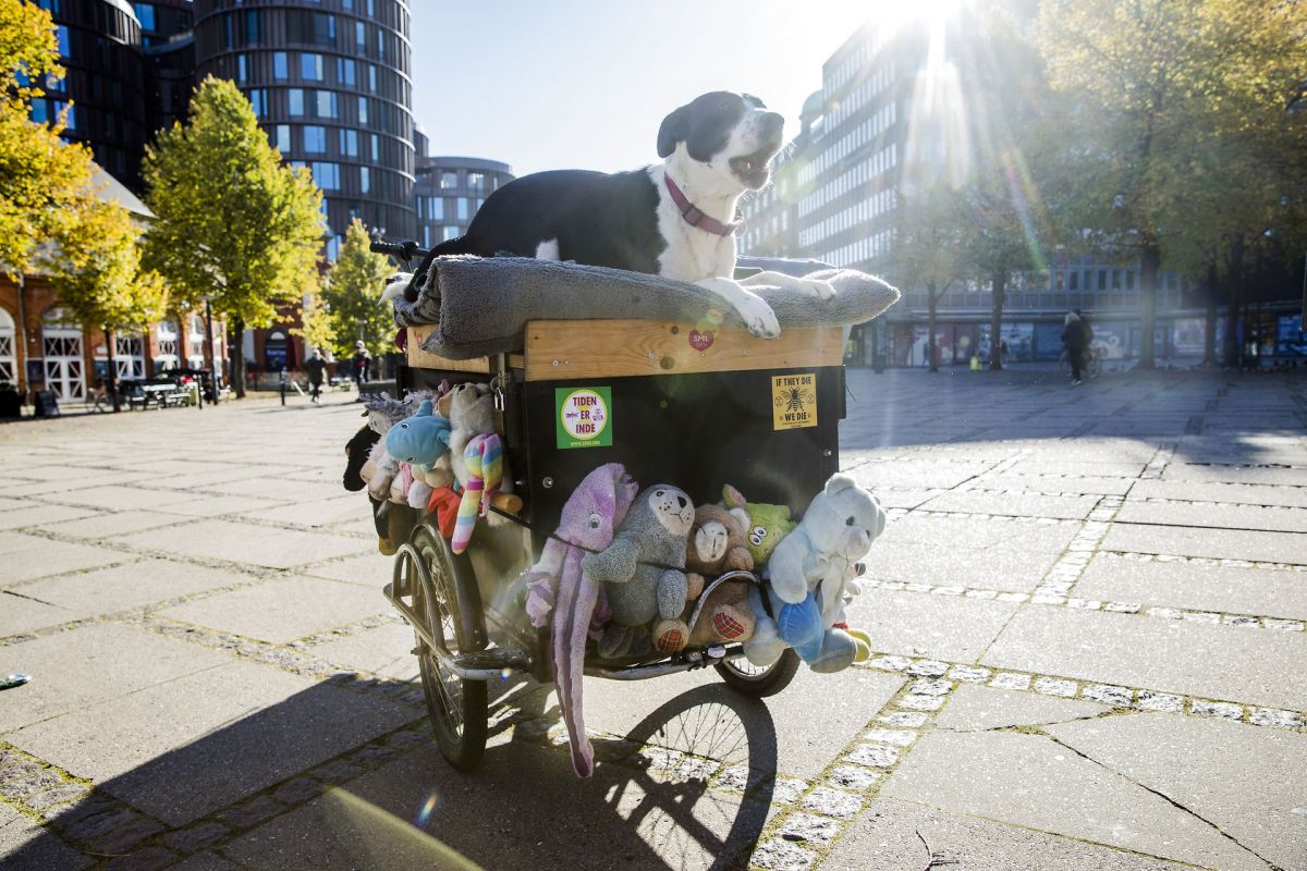 Mange hjemløse har fået en for lav ydelse på grund af en tvist om fortolkning af regler.