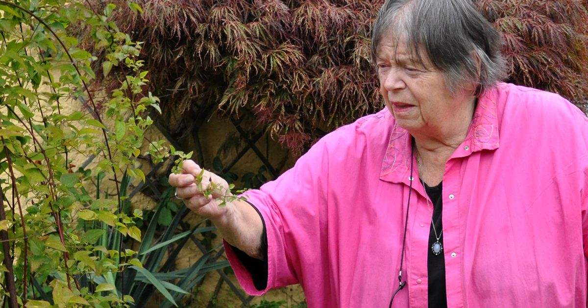 Den tidligere erhvervsvejleder Hanne Høst-Madsen nyder sensommeren i sin have.