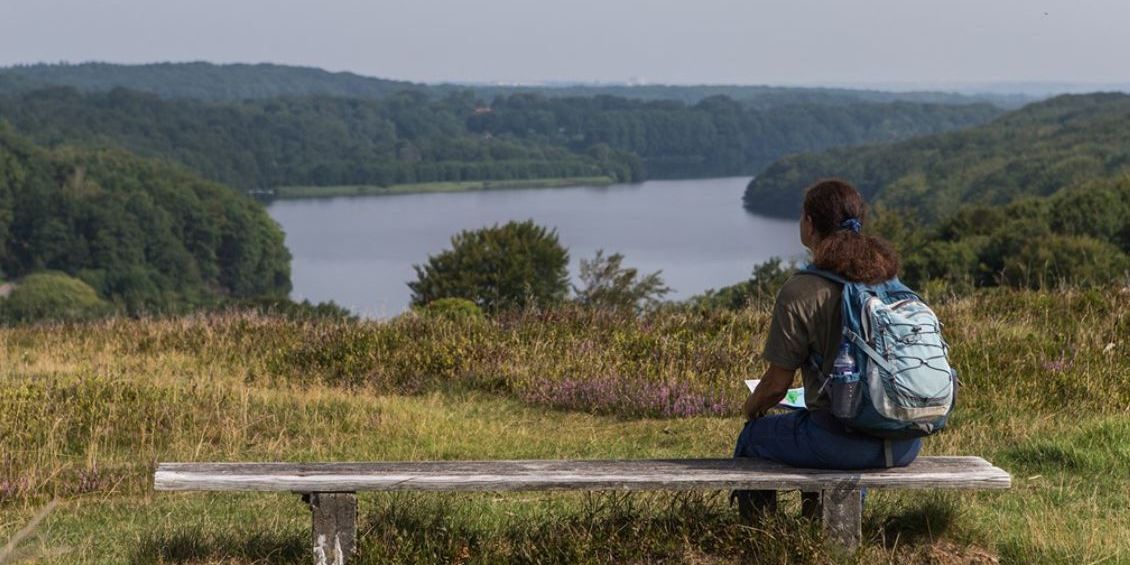 Der er ingen grund til at lukke Hald Sø og Dollerup Bakker inde bag et hegn og gøre området til Naturnationalpark. Det mener byrådsudvalg i Viborg Kommune.