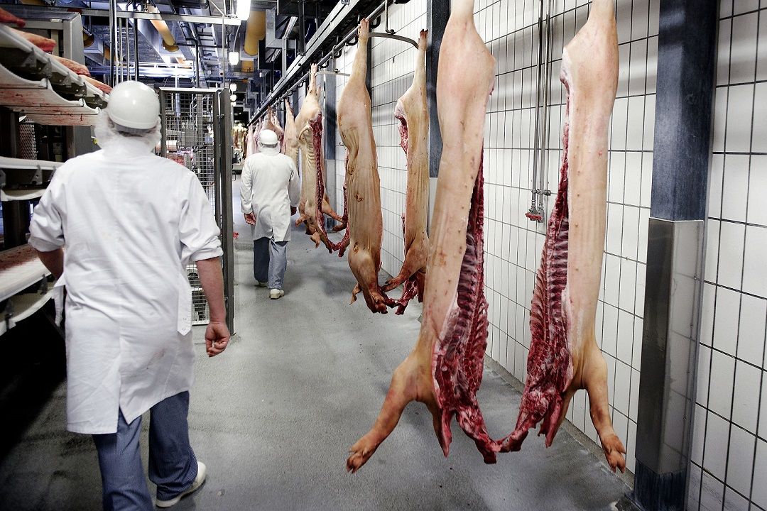 Seniorerne udgør mere end en tredjedel af faldet i langtidsledigheden over hele landet.