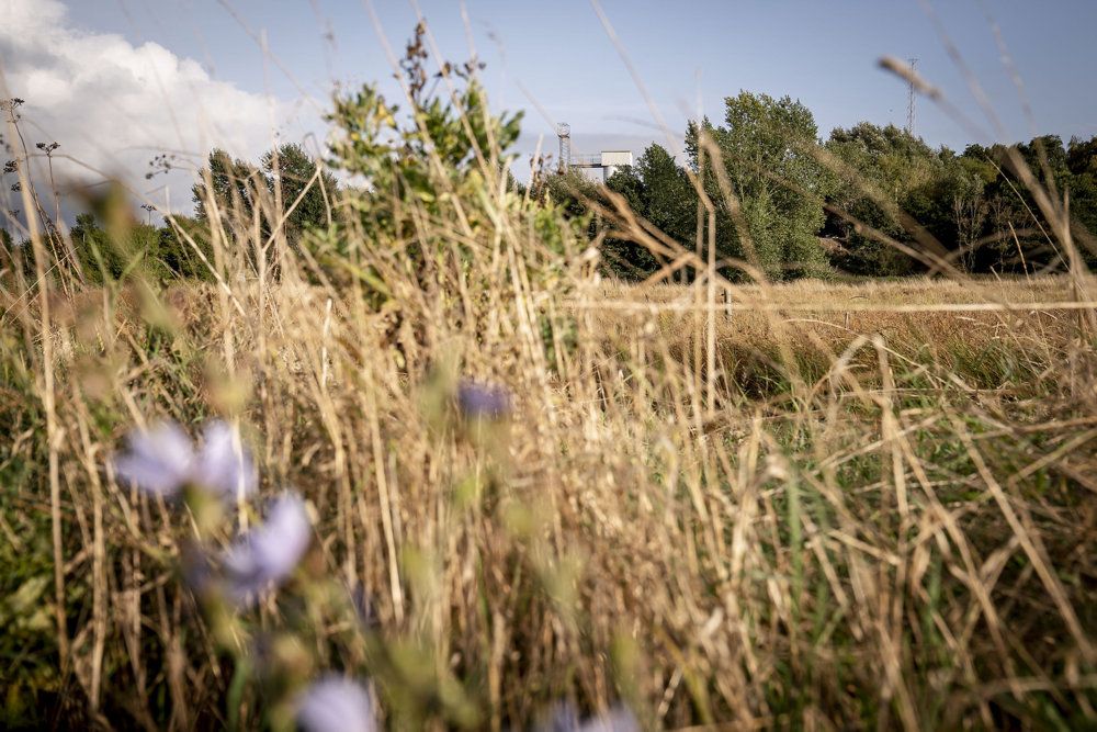 Esbjerg Kommune vil nu have undersøgt omfanget af PFOS-forurening fra en lokal brandskole. Billedet stammer fra Korsør, hvor man har en tilsvarende sag. Her menes giftstoffet ligeledes at være udledt med brandslukningsskum. (Arkivfoto).