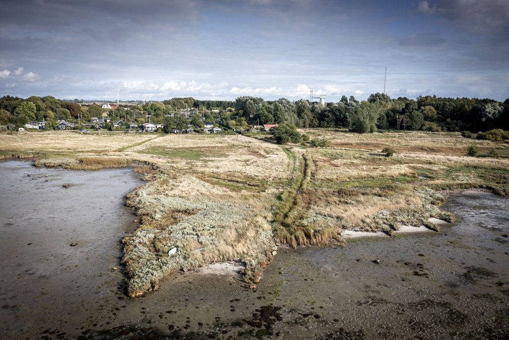Tidligere på året kom det frem, at et område i Korsør, hvor kvæg havde græsset, var forurenet med PFOS. 188 Korsør-borgere er siden blevet konstateret forgiftet med fluorstoffet. (Arkivfoto)