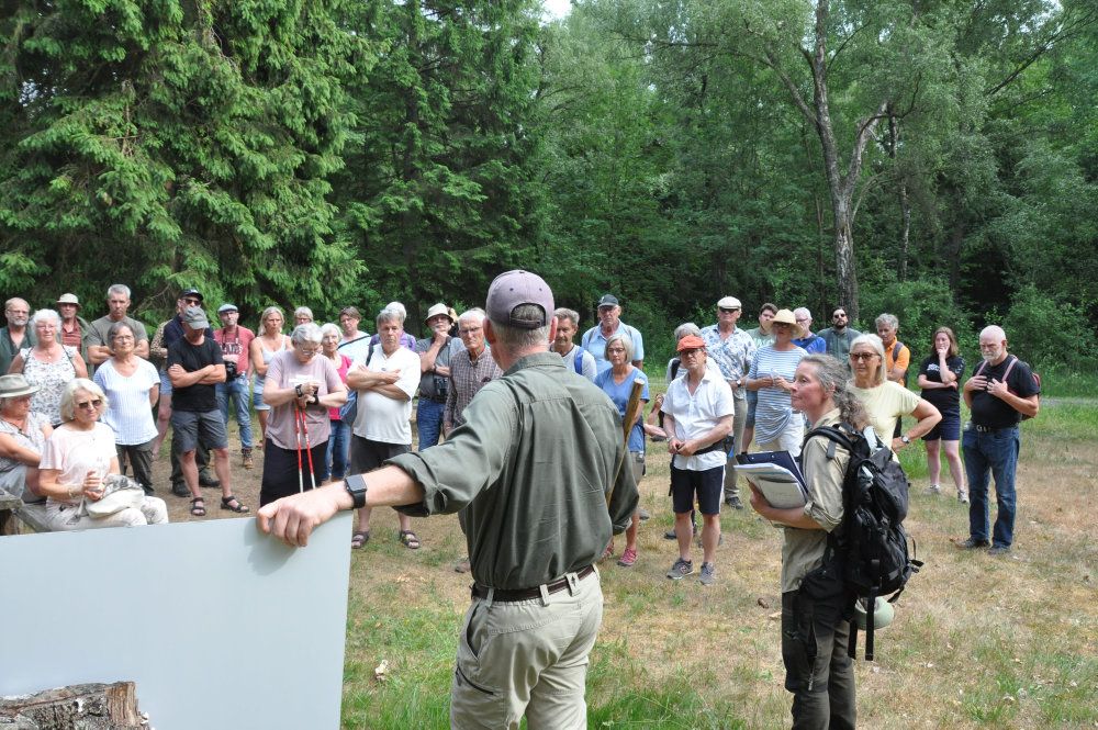 Naturstyrelsen inviterer alle borgere til naturvandringer i samtlige 21 mulige naturnationalpark-områder i uge 44, 45 og 46.