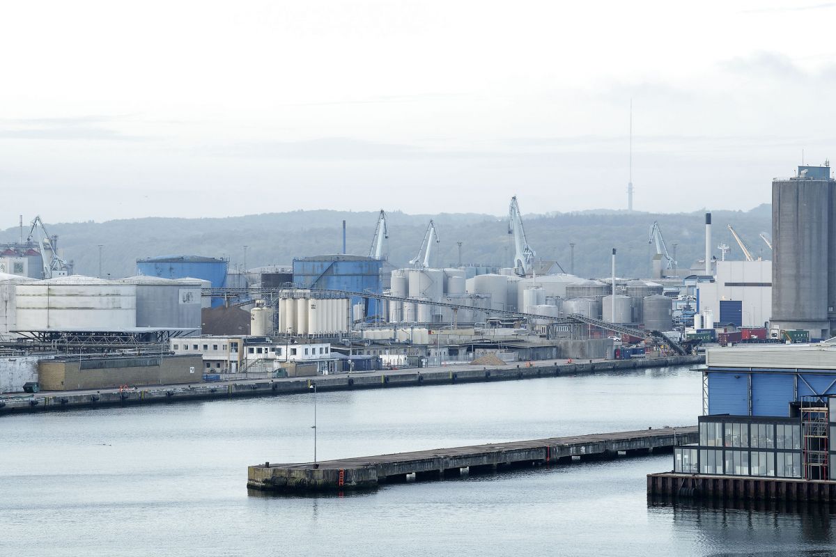 Sikkerheden skal øges i Aarhus Havn, der har oplevet flere drukneulykker de senere år.