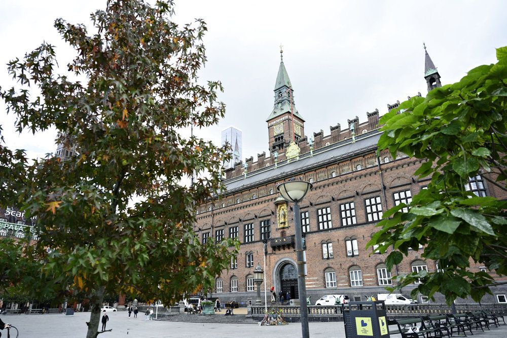 Demonstranter nægtede at forlade Københavns Rådhus fredag eftermiddag. Siden blev de anholdt og sigtet for husfredskrænkelse.