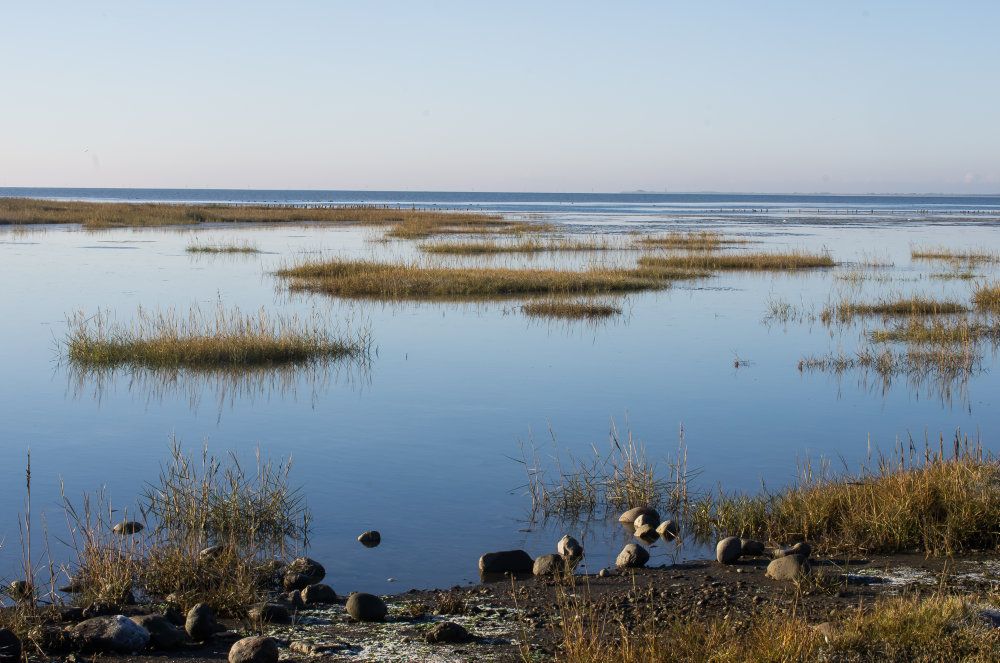 For at øge biodiversiteten markant i de danske Natura 2000-områder lægger regeringen med nye planer op til en naturforvaltning i samarbejde med kommunerne.
