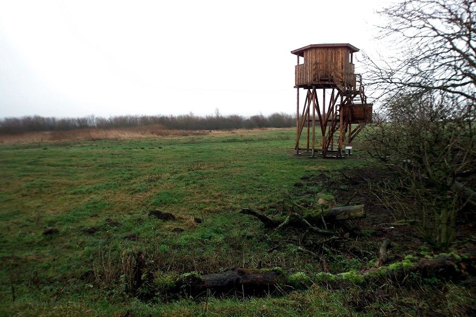 Mere hjælp er på vej til landmænd med landbrugsjord, der skal forvandles til skov, vådområde, og byttes med andre landmænd for en mere effektiv landbrugsdrift